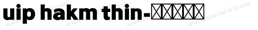 vip hakm thin字体转换